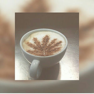 Meet your Posher, Marissa